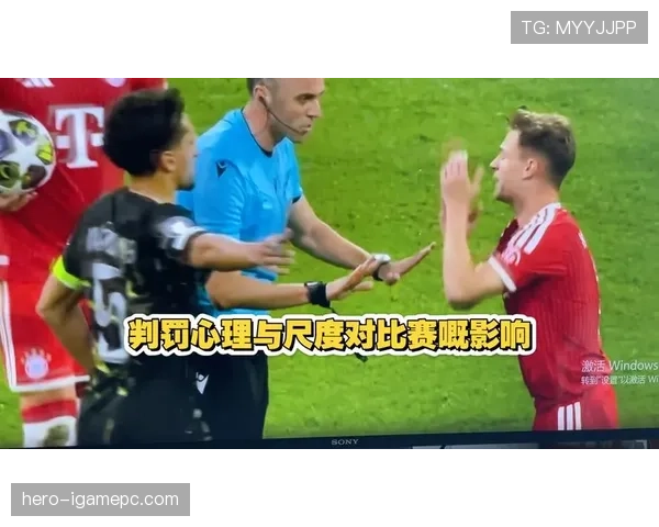 专业解析干扰球国际规则差异对于比赛判罚尺度与标准的影响